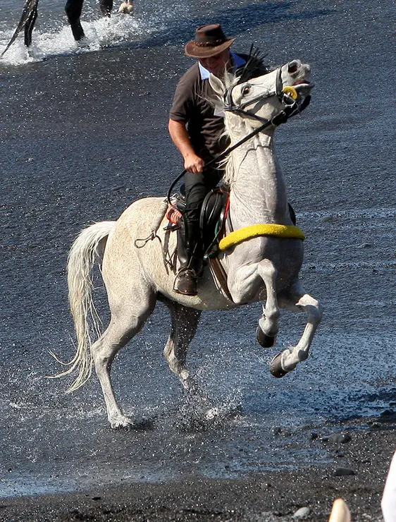 SAN SEBASTIAN ADEJE 571 