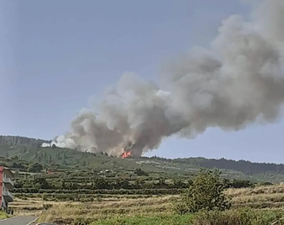 Conato incendio Los Realejos