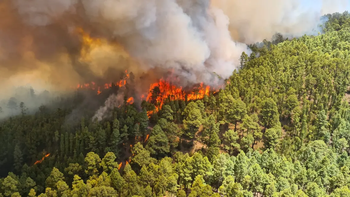 210722 Incendio Los Realejos(1)