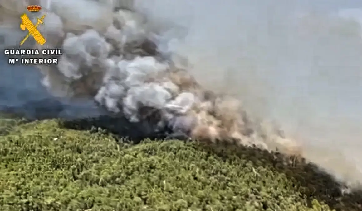 Incendio Realejos