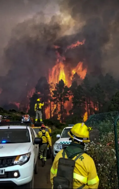Incendio Realejos 02