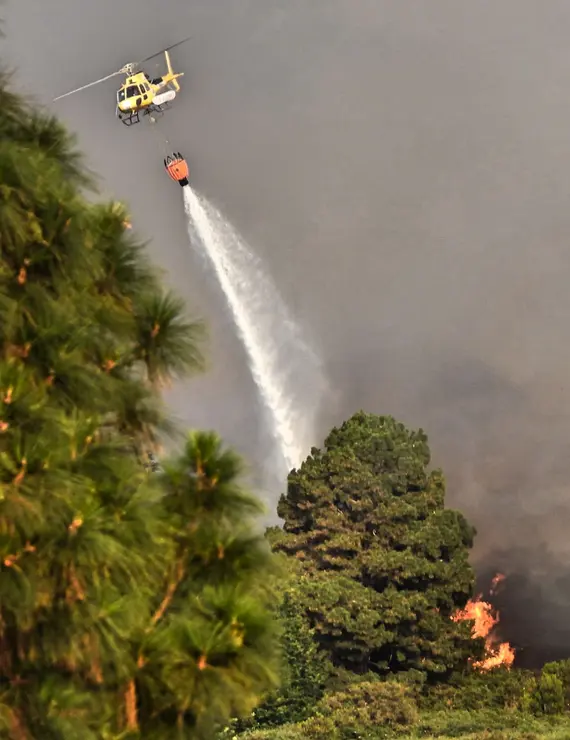 Incendio Realejos -23-04-55(1)