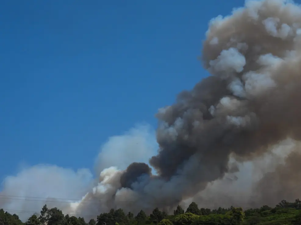 Incendio Realejos -00-50(1)