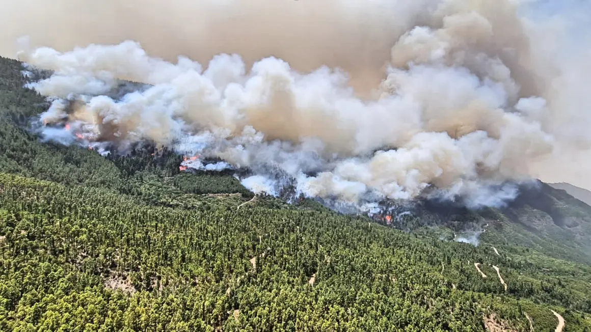 Incendio en el norte de Tenerife 11