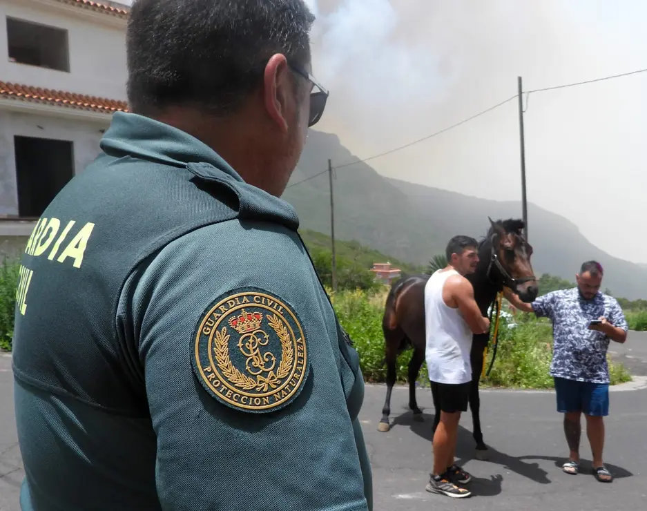 Incendio en el norte de Tenerife 08