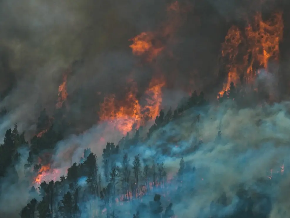 Incendio en el norte de Tenerife 05