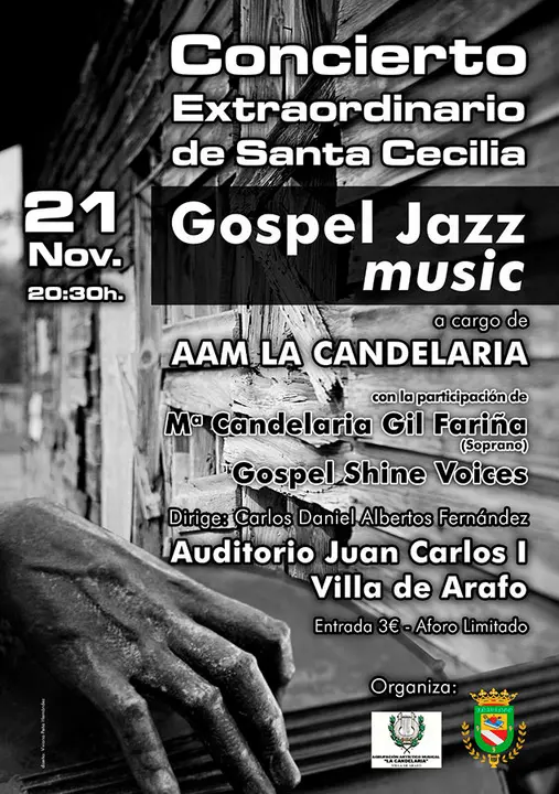 cartel concierto