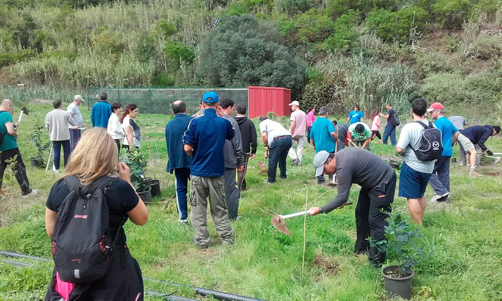 Reforestaci&oacute;n durante la actividad