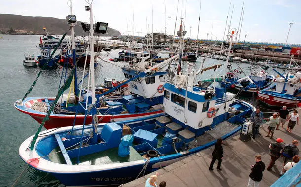 los-cristianos-flota-pesca-2