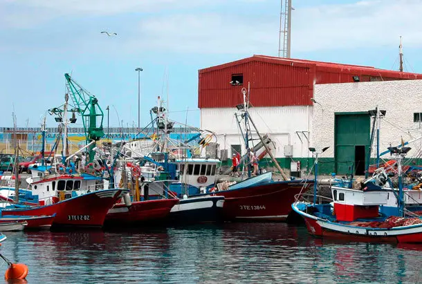 cofradia-pescadores-los-cristianos