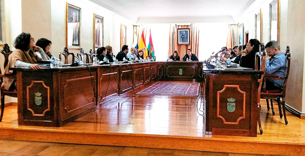 Pleno_25febrero_Arona