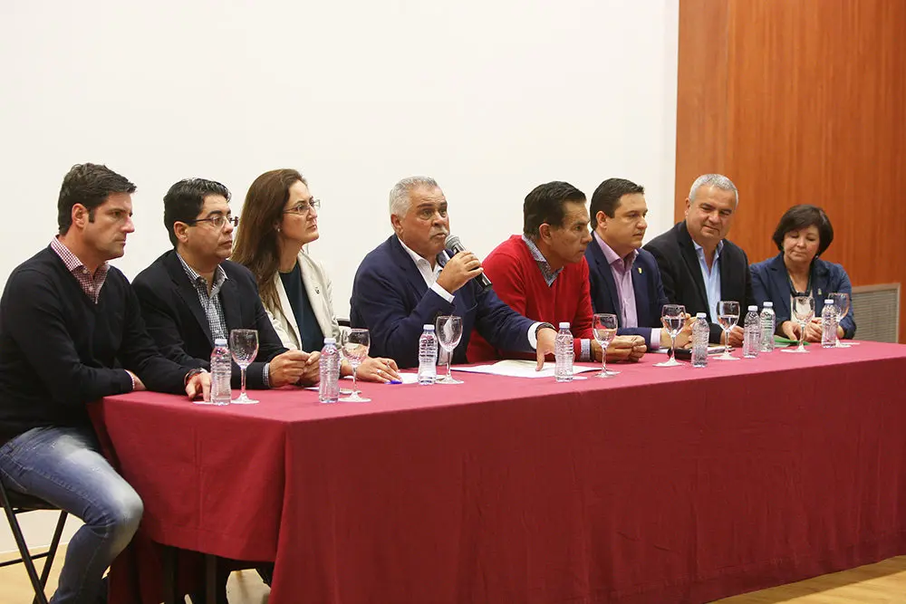 ALCALDES DEL SUR 969