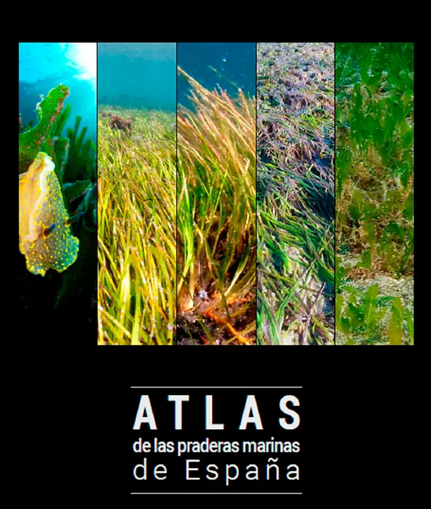 Foto portada Atlas de Praderas Marinas de Espa&ntilde;a