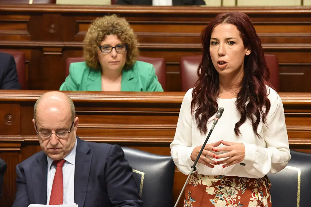 PATRICIA HERNANDEZ EN EL PARLAMENTO