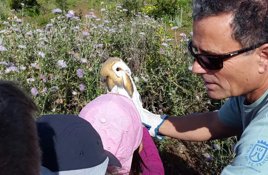 Voluntariado Ambiental 00