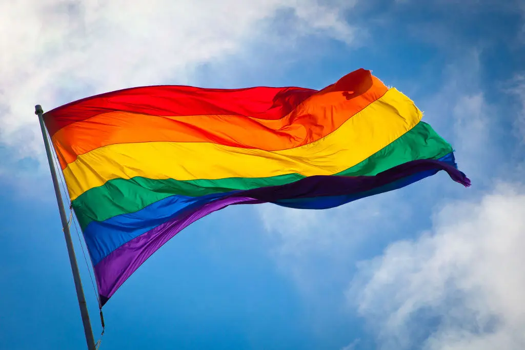 BANDERA DEL ORGUYO GAY