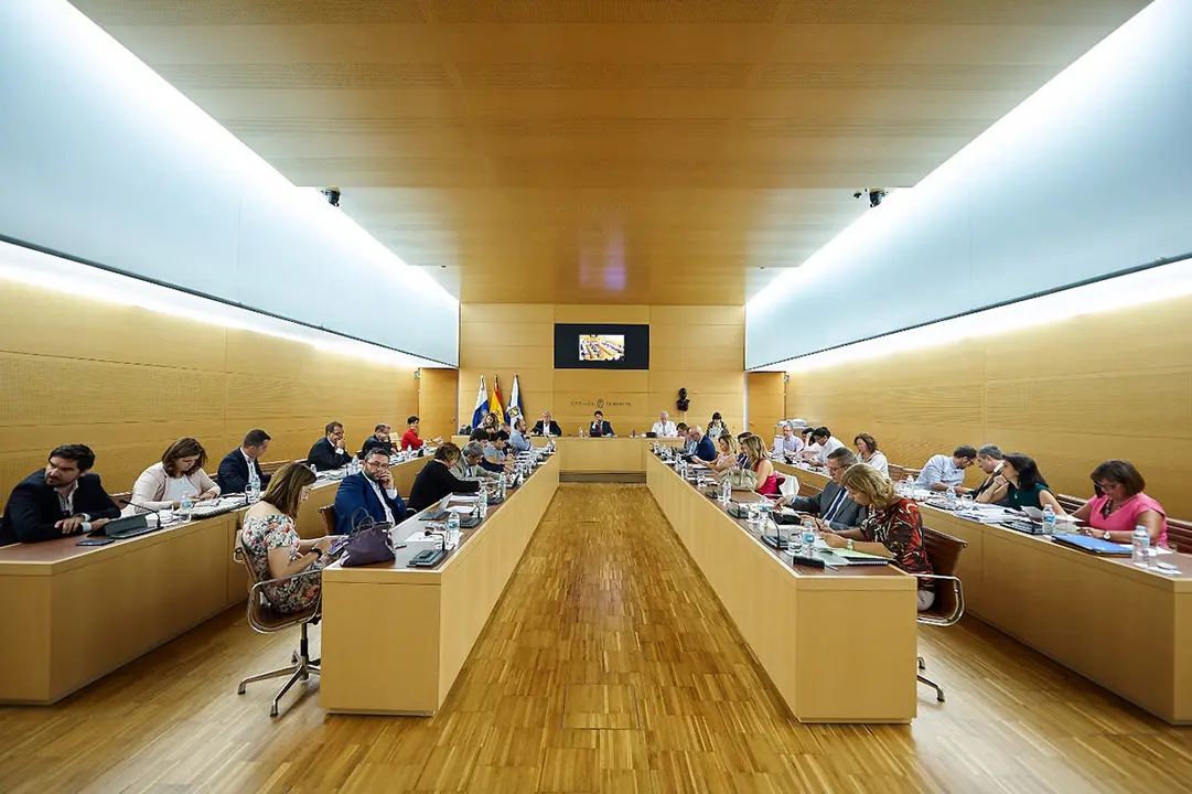 PLENO CABILDO TF