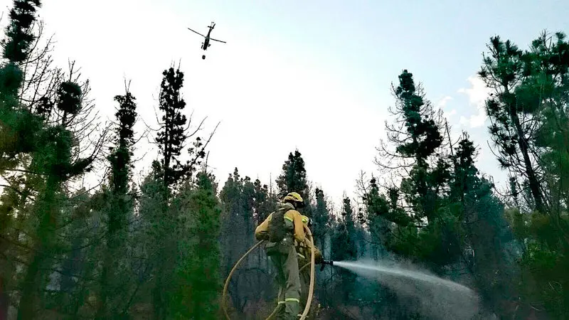 Incendio La Palma