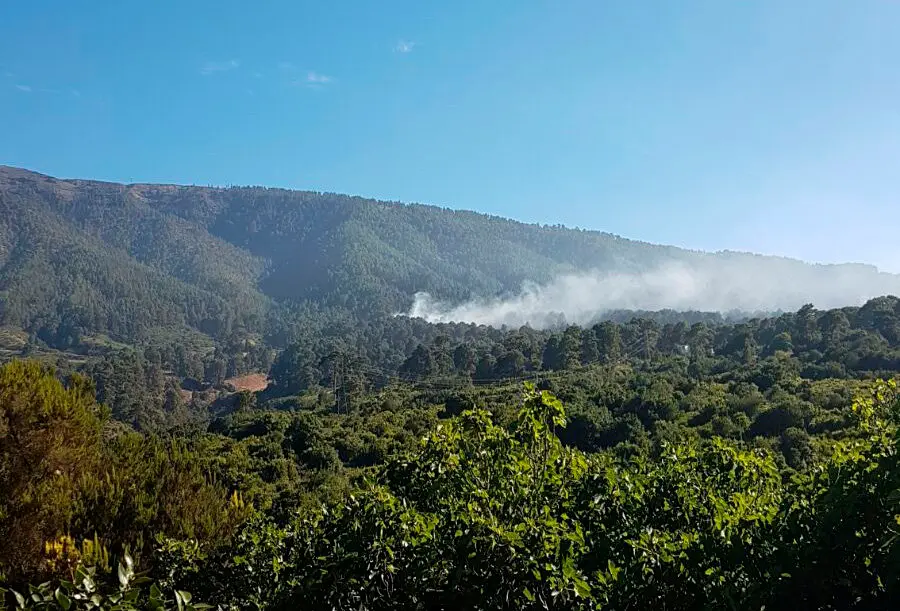 INCENDIO EN GARAFIA LA PALMA