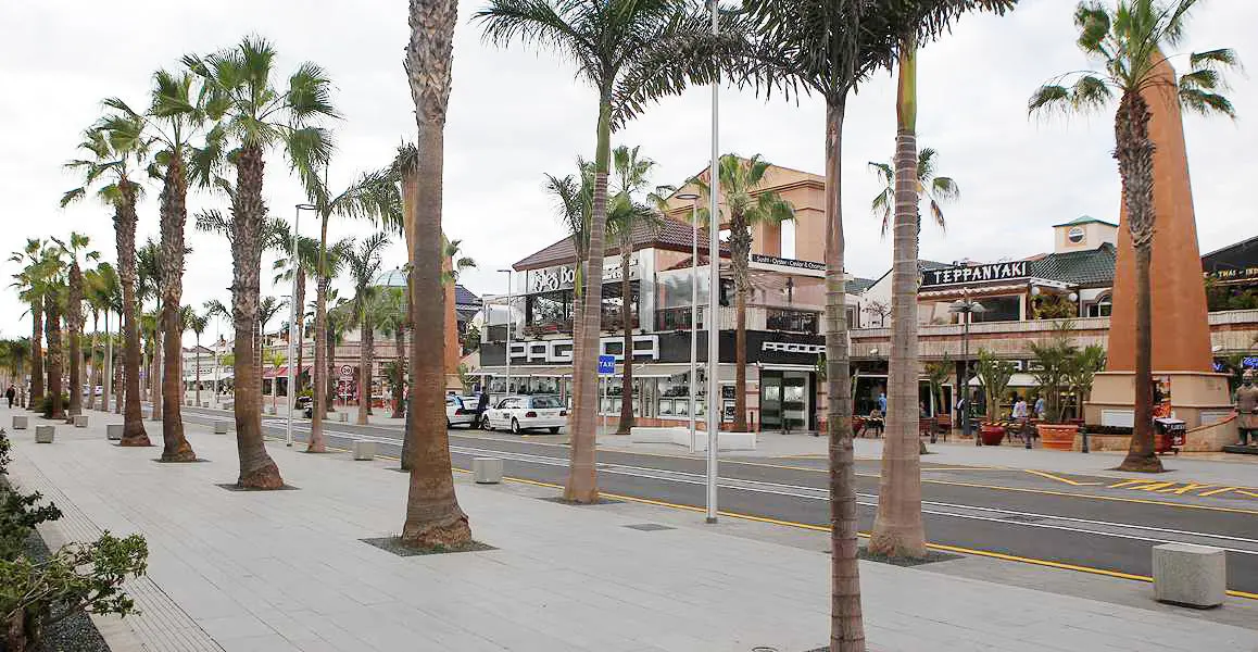 Avenida las am&eacute;ricas Surdetenerife