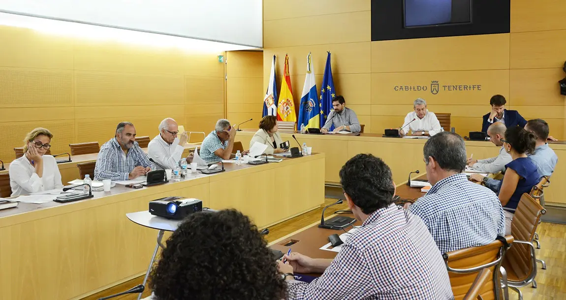 Reuni&oacute;n ayuntamientos-Apoyo t&eacute;cnico Consejo Insular de Aguas