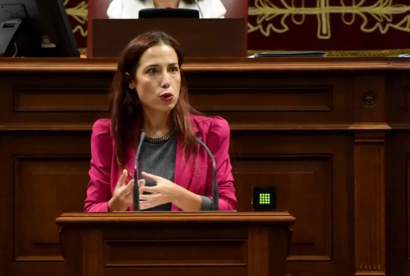 261016 Patricia Hern&aacute;ndez en comparecencia parlamentaria 2
