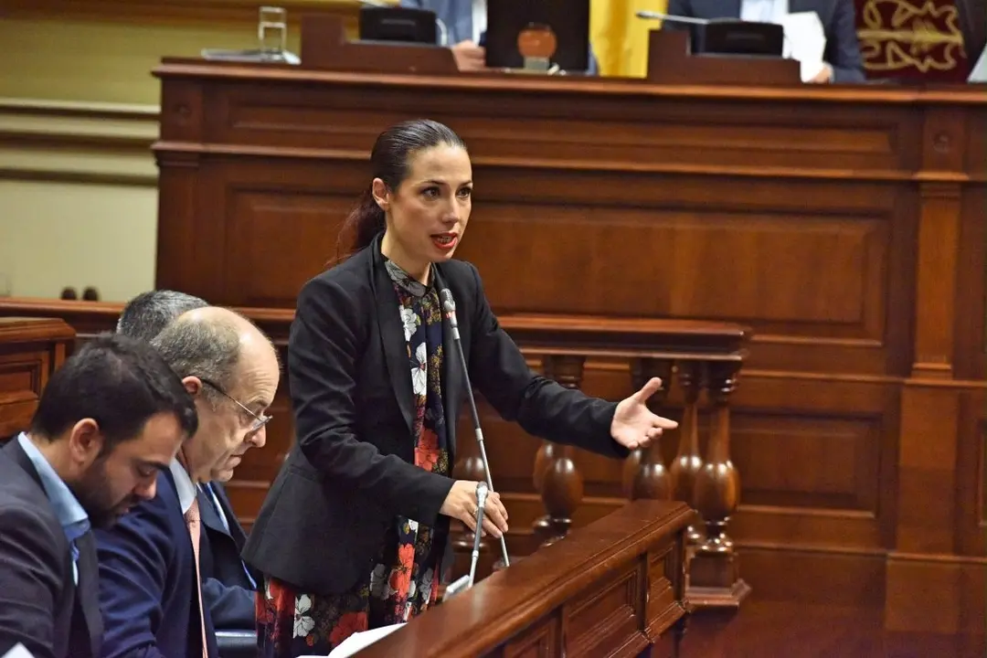 Patric&iacute;a Hern&aacute;ndez psoe