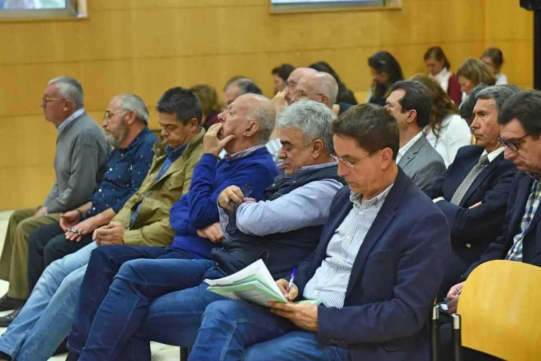 25-04-2016 santa cruz de tenerife caso arona palacio de justicia