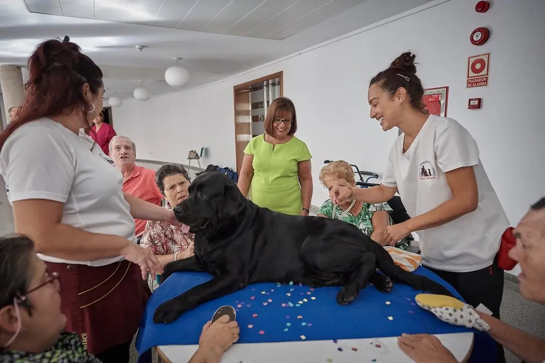 Hospital Los Dolores-Terapia con perros_Fotor