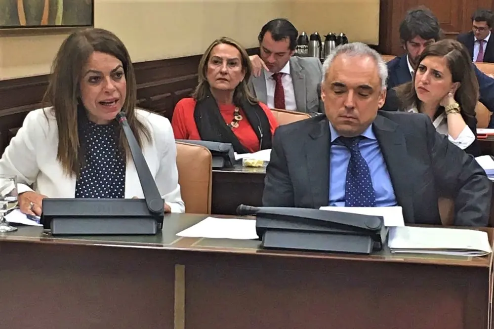 Tamara Raya en la Comisi&oacute;n de Empleo del Congreso_Fotor