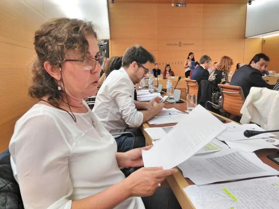 Paqui Rivero, pleno Cabildo Tenerife abril 2016_Fotor