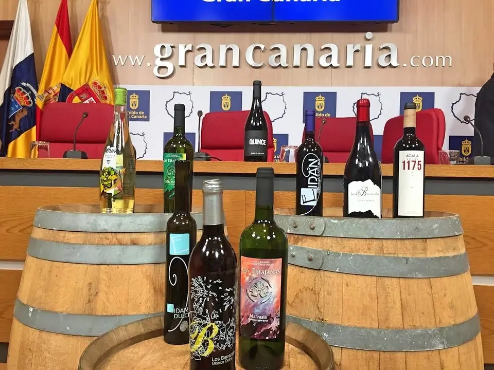 VINOS GRAN CANARIOS -189_Fotor
