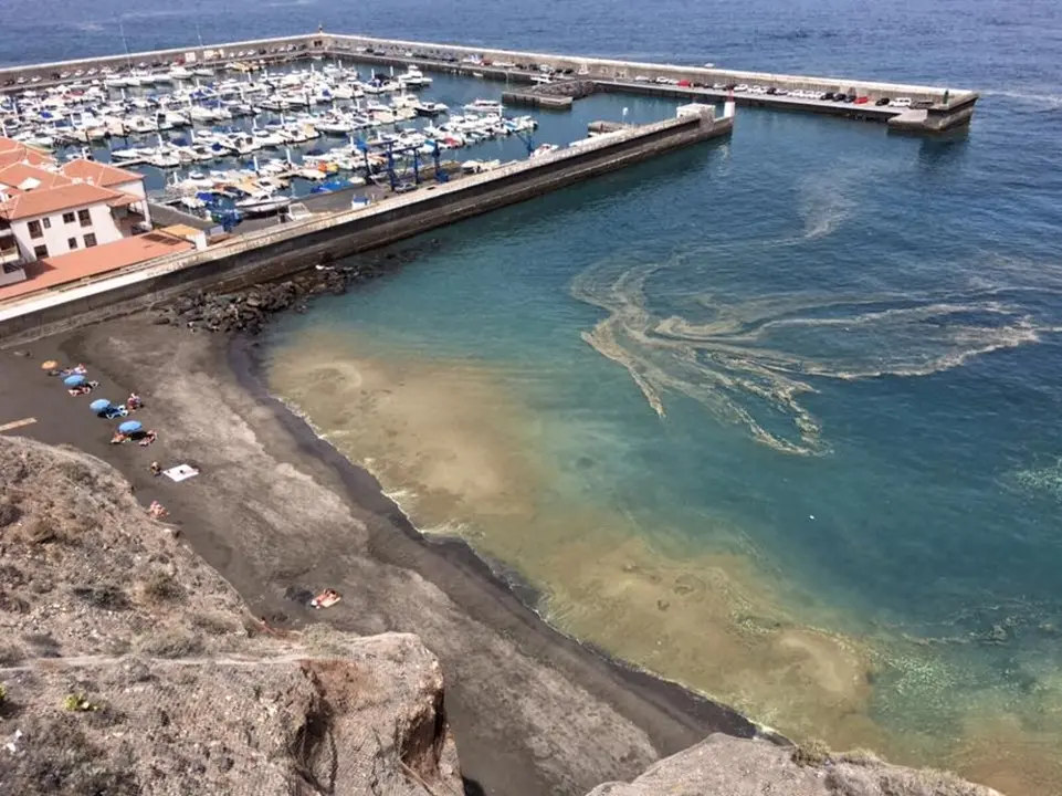Marea de micoalgas en la Playa de Los Gigantes