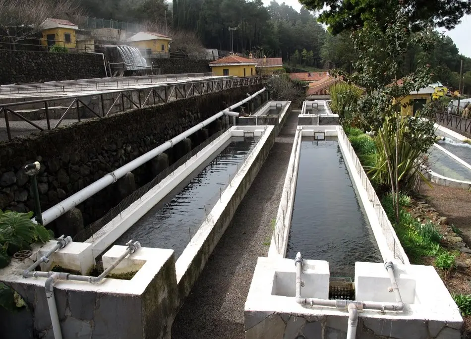 PISCIFACTORIA AGUAMANSA