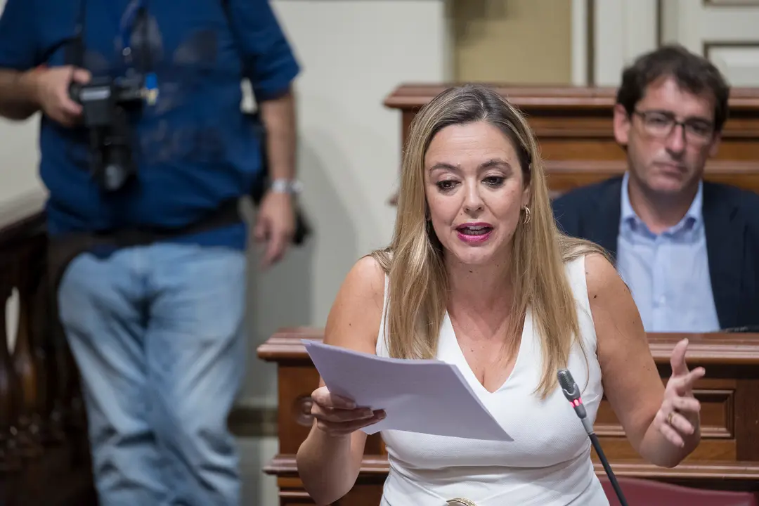 Portavoz del Grupo Parlamentario Socialista, Dolores Corujo Berriel
