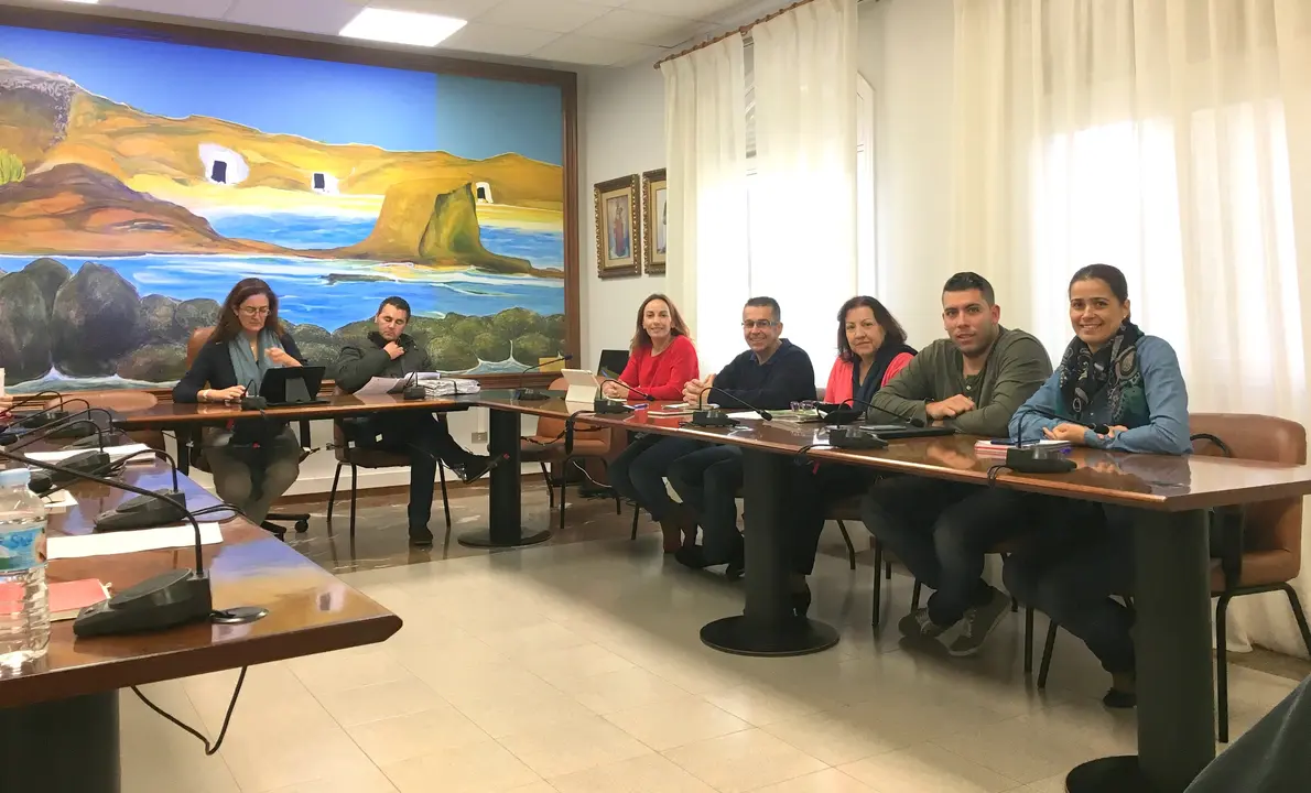 Grupo Socialista Arico en sesi&oacute;n plenaria