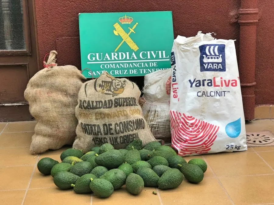 FOTOGRAF&Iacute;A AGUACATES ROBADOS Fotor