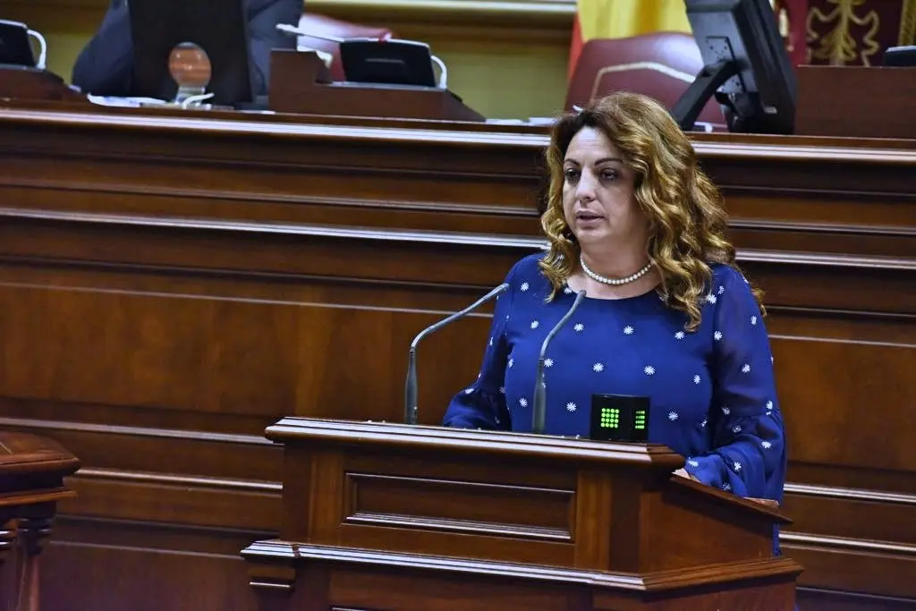 Cristina Valido parlamento-2_Fotor