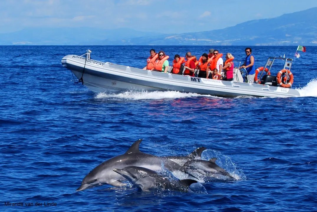 world-cetacean-alliance4