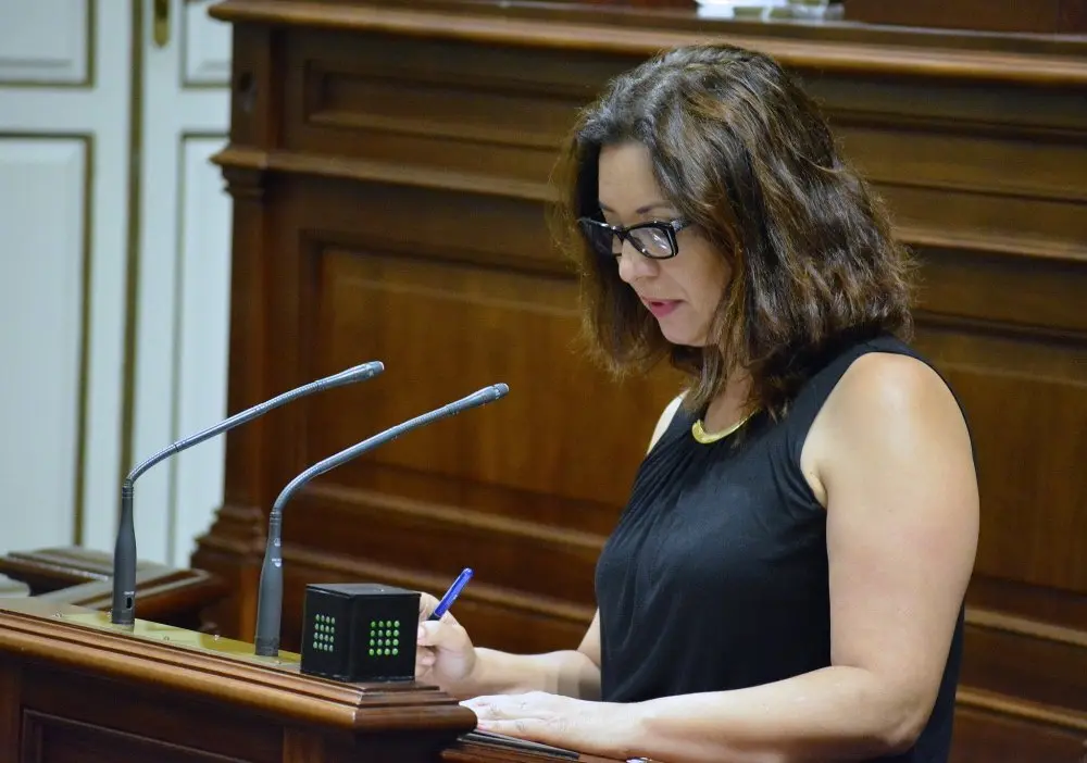 Ventura del Carmen Rodr&iacute;guez, portavoz de Igualdad