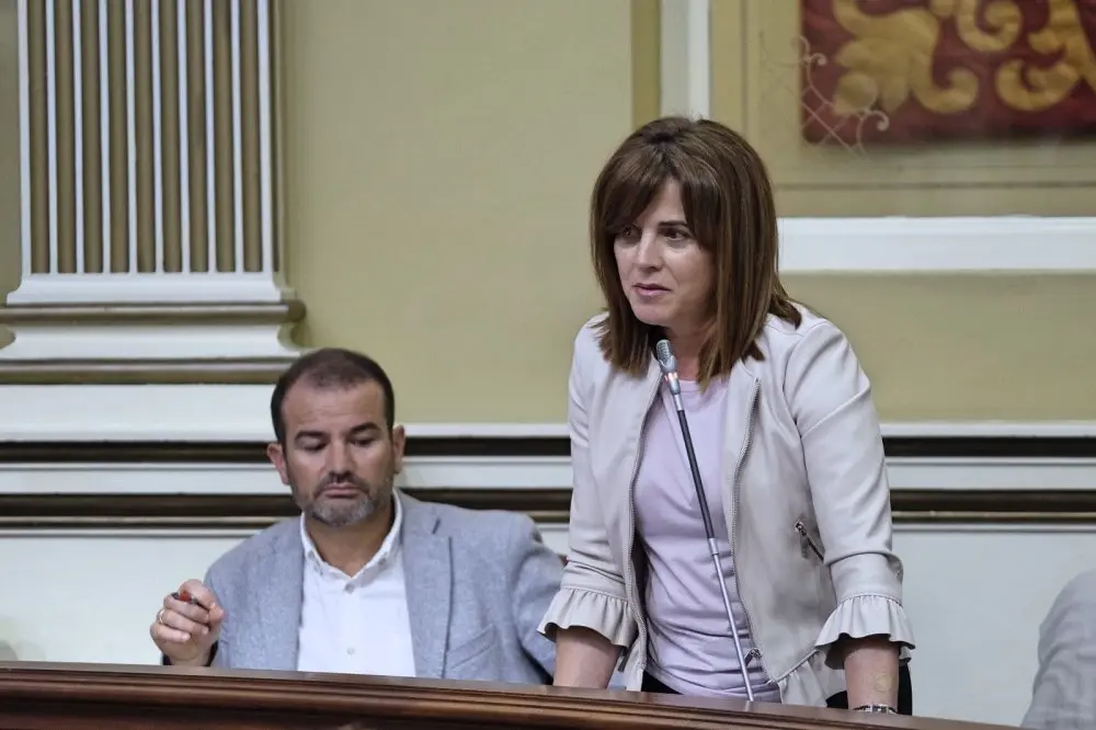 Teresa Cruz Oval, portavoz de Pol&iacute;ticas Sociales del Grupo Parlamentario Socialista