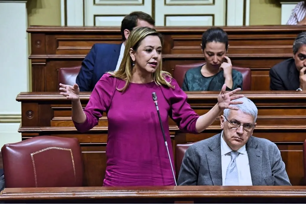 Dolores Corujo Berriel, portavoz del Grupo Parlamentario Socialista