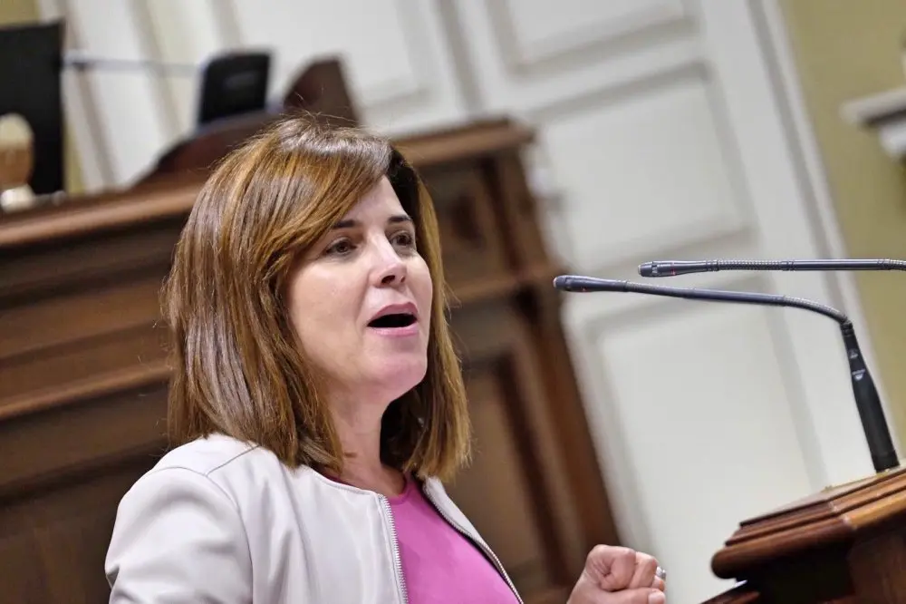 Teresa Cruz Oval, portavoz socialista de Pol&iacute;ticas Sociales