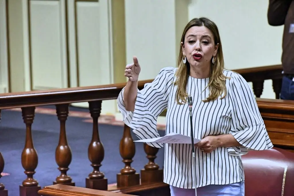 Dolores Corujo, portavoz del Grupo Parlamentario Socialista
