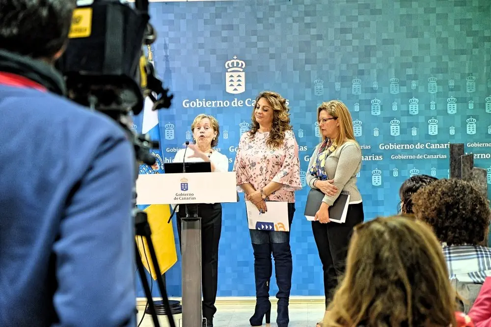 Mar&iacute;a Jos&eacute; Rodrigo, catedr&aacute;tica de psicolog&iacute;a evolutiva, quien ya dirigi&oacute; el Informe sobre Infancia y Familia en Canarias, coordinar&aacute; los trabajos de las dos instituciones p&uacute;blicas