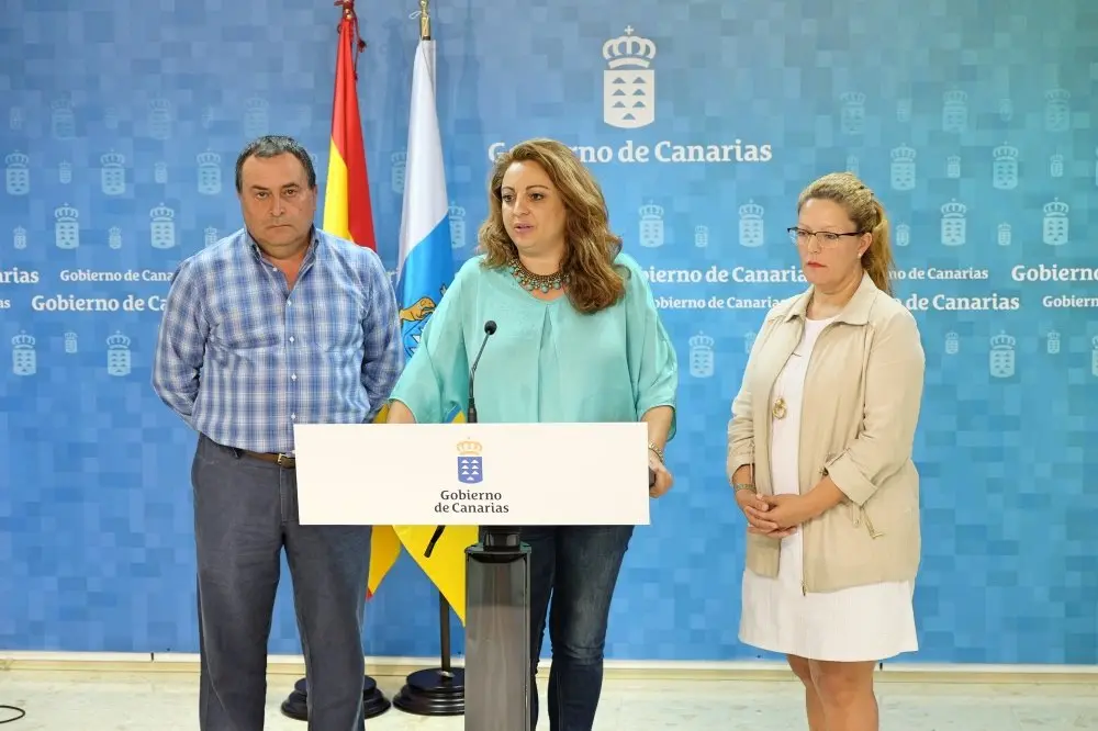 Valido 944_Fotor