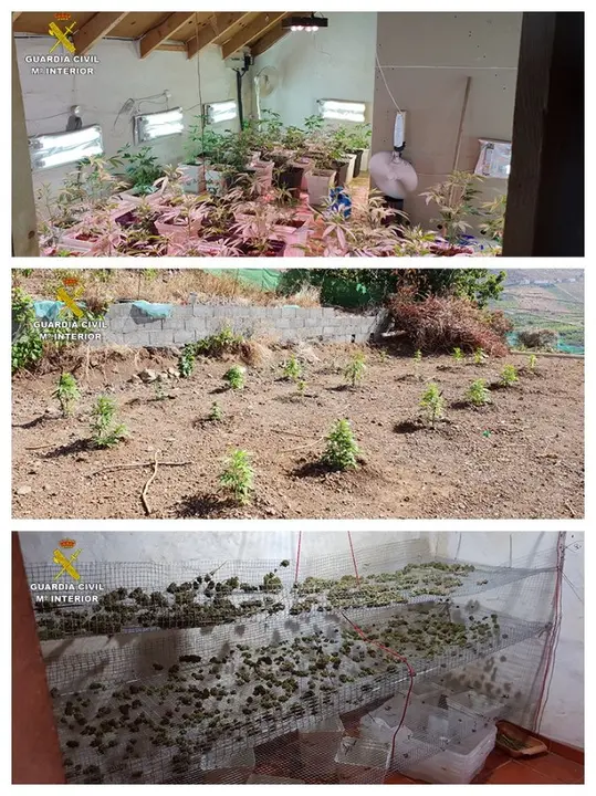 MARIHUANA EL HIERRO GUARDIA CIVIL _Fotor
