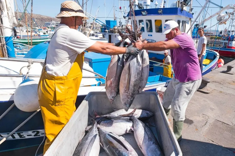 LosCristianos pesca at&uacute;n pescadores 2_Fotor