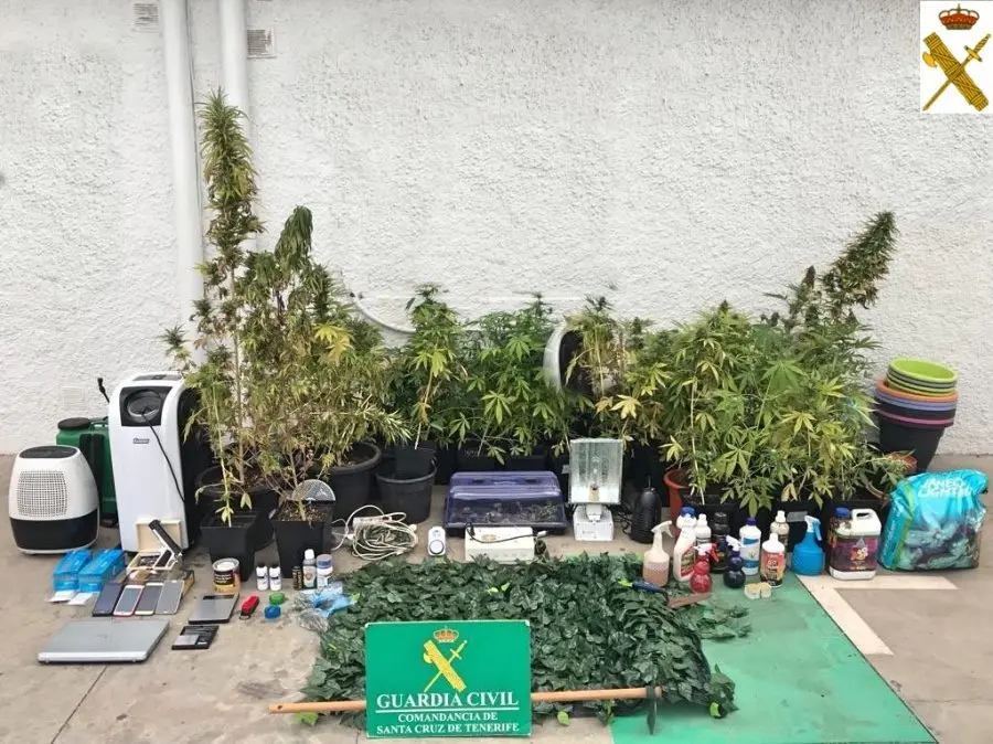 Marihuana guardia civil _Fotor