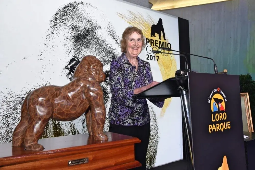 loro_parque_entrega_premio_gorila_2017_a_rosemary_low (5)_Fotor